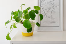 Load image into Gallery viewer, Mia Melange Planter Small – Yellow Block