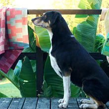 Load image into Gallery viewer, Mungo Moholo Dog Blanket (Magenta)