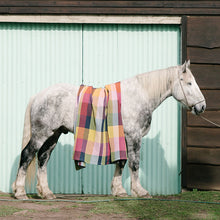 Load image into Gallery viewer, Mungo Vrou-Vrou Blanket/Throw (Magenta)