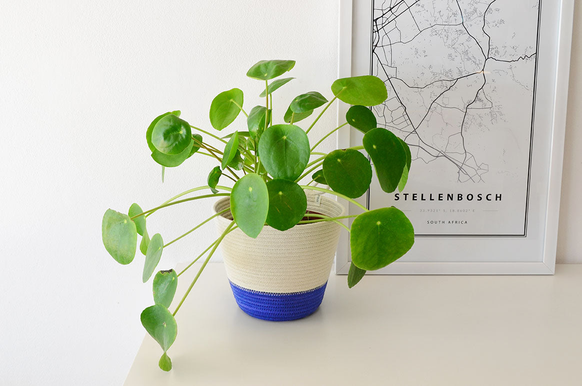 indoor plant pots south africa Mia Melange Planter Small – Blue Block – African Goose