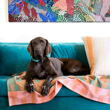 Load image into Gallery viewer, Mungo Moholo Dog Blanket (Magenta)
